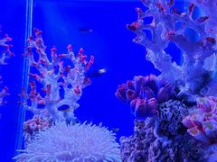 -海合安武汉极地海洋公园