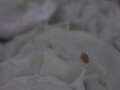 -正斗面家