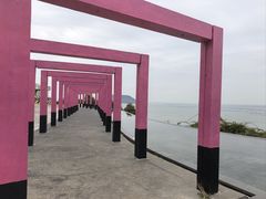 -漳州滨海火山岛自然生态风景区