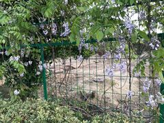 -呼吸森林·生态农庄农家乐私房菜