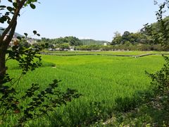 -红山村