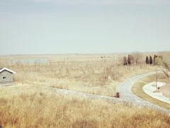 -盐城丹顶鹤湿地生态旅游区