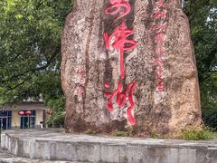 -万佛湖许老大铁锅鱼(黑金冠店)