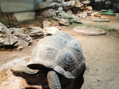 -杭州野生动物世界