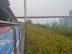 -渔人湾码头海鲜市场负二楼