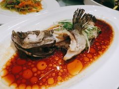 鲜露清蒸海青斑-富淳饭店(陆家嘴保利广场店)