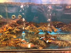 -潮喜竹溪荔湖酒家(荔枝湾店)