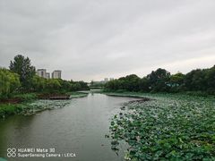 -新江湾城公园