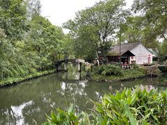 -西溪国家湿地公园