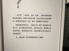 -中国湿地博物馆