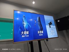 -上海潜殿潜水中心