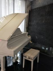 -比华利美容医院