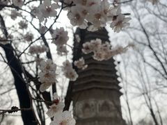 -玲珑塔公园