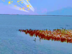 -哈素海