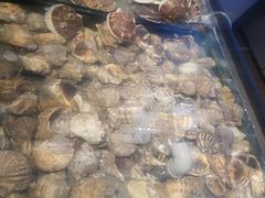 -海天盛宴潮汕蒸汽海鲜高端自助形象店