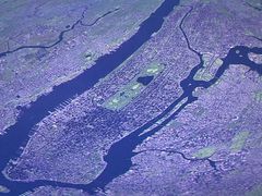 -美国自然历史博物馆