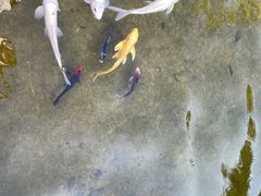 -七彩云南古滇温泉山庄
