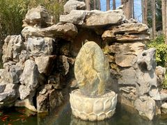 -上海醉白池公园