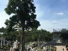 -东芭乐园