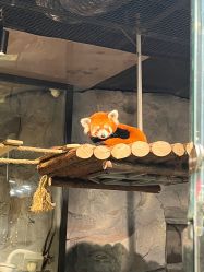 -Zoolung Zoolung动物主题公园(海信广场店)