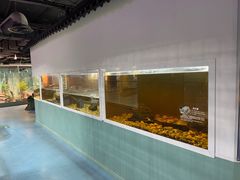 -上海大自然野生昆虫馆(东方明珠·爬宠昆虫探索中心)