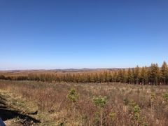 -塞罕坝国家级自然保护区