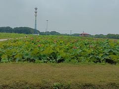 -嘉北郊野公园