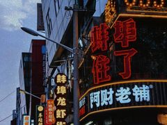 -阿财老铺·老蚌埠龙虾城(华夏总店)