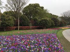 -上海鲜花港