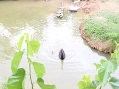 -泉州海丝野生动物世界