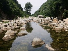 -沣峪口