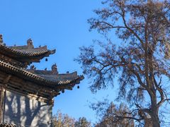 -张掖大佛寺景区