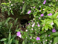 -成都市活水公园