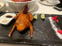 -侨美·唐荔园·40年地道粤菜