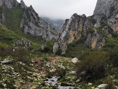 -莲宝叶则景区