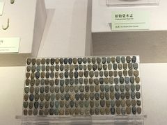 -台州博物馆