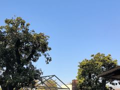 -长洲岛都市农业公园