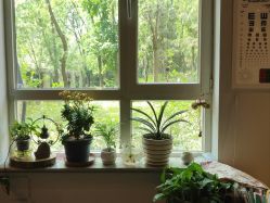 -养笙记·艾灸美容养生·轻养生活馆