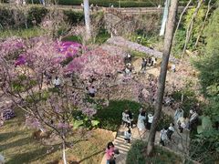 -狐尾山公园