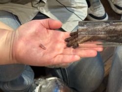 -Zoolung Zoolung动物主题公园(海信广场店)