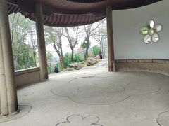 -香雪海