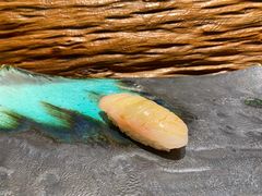 -鮨鳳
