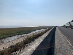 -南汇嘴观海公园