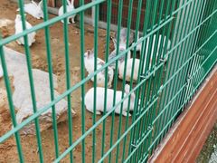 -羊亭河湿地公园