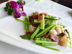 -云中小雅