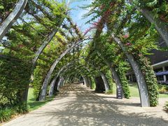 -布里斯班南岸公园