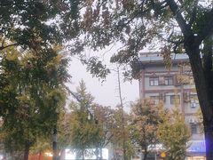-一记洛阳菜·糖醋小排·水席(十字街店)