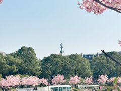 -新江湾城公园