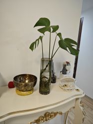 -美肤盾祛痘·问题肌头疗管理中心