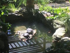 -谷咖啡·鲜花绿植花园餐厅